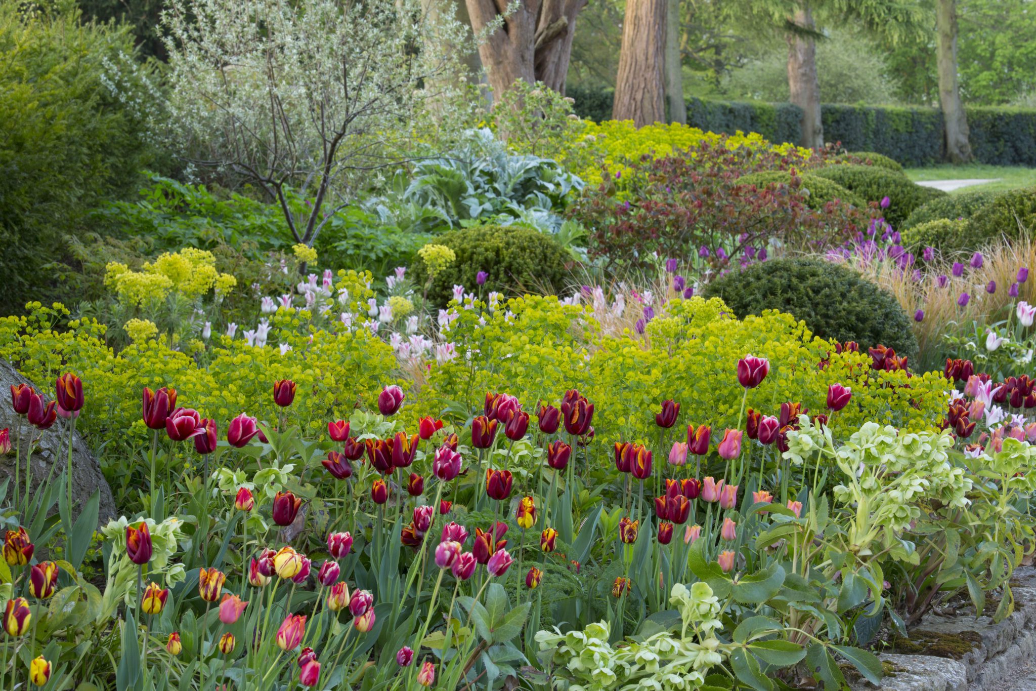 East Langton Leicestershire Garden Design | James Alexander-Sinclair